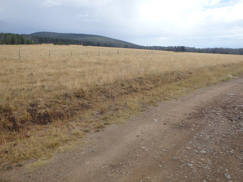 GDMBR: We're now riding National Forest public access roads across private property.